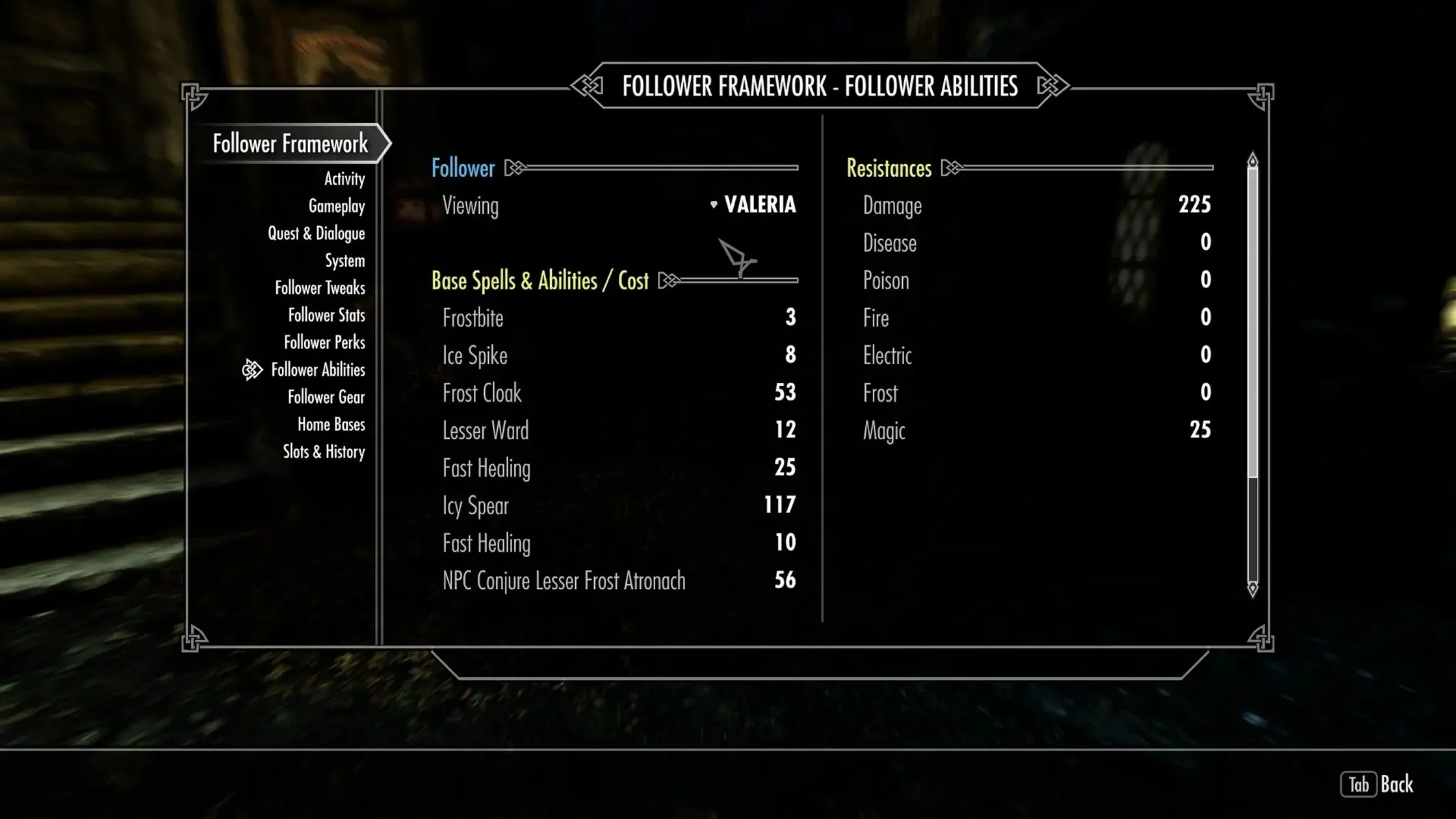 Ảnh in-game Nether's Follower Framework: Tăng số lượng và quản lý đồng đội trong Skyrim