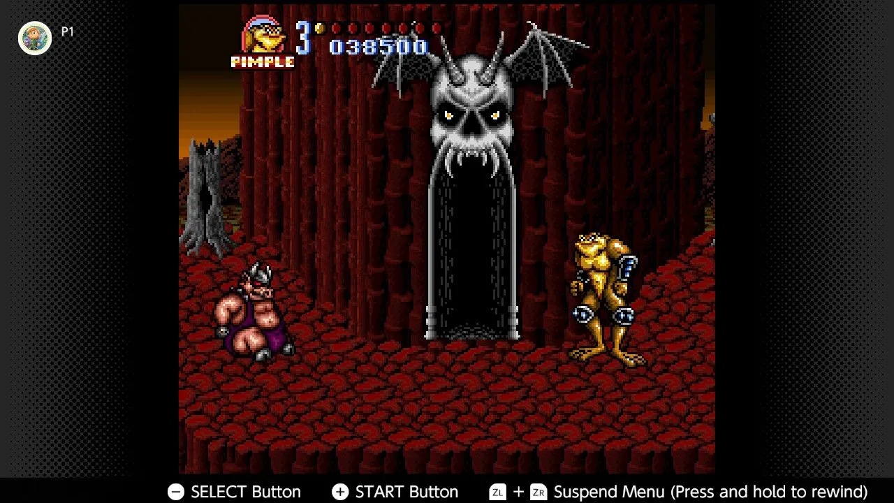 Ảnh màn hình game đối kháng Battletoads in Battlemaniacs trên SNES