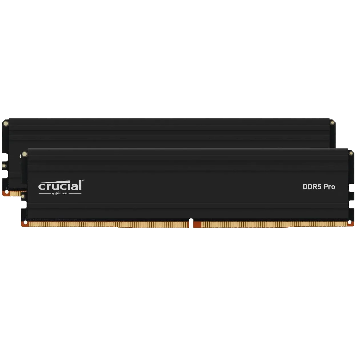 Bộ RAM Crucial Pro DDR5 64GB (2x32GB), minh họa cho tầm quan trọng của dung lượng RAM lớn đối với các tác vụ đa nhiệm và máy ảo.