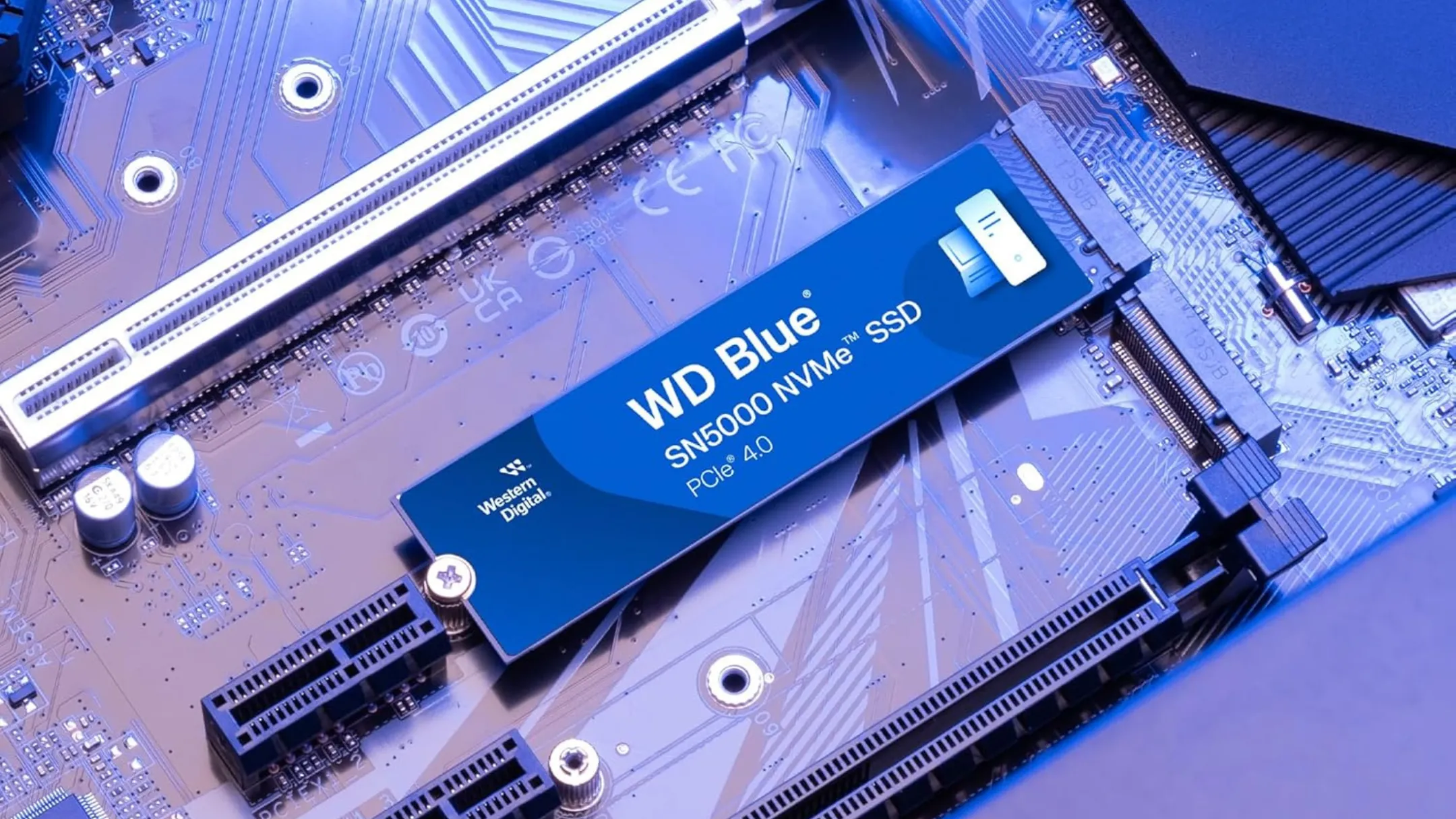 Cận cảnh chip điều khiển và chip nhớ trên bo mạch của SSD WD Blue SN5000 4TB M.2