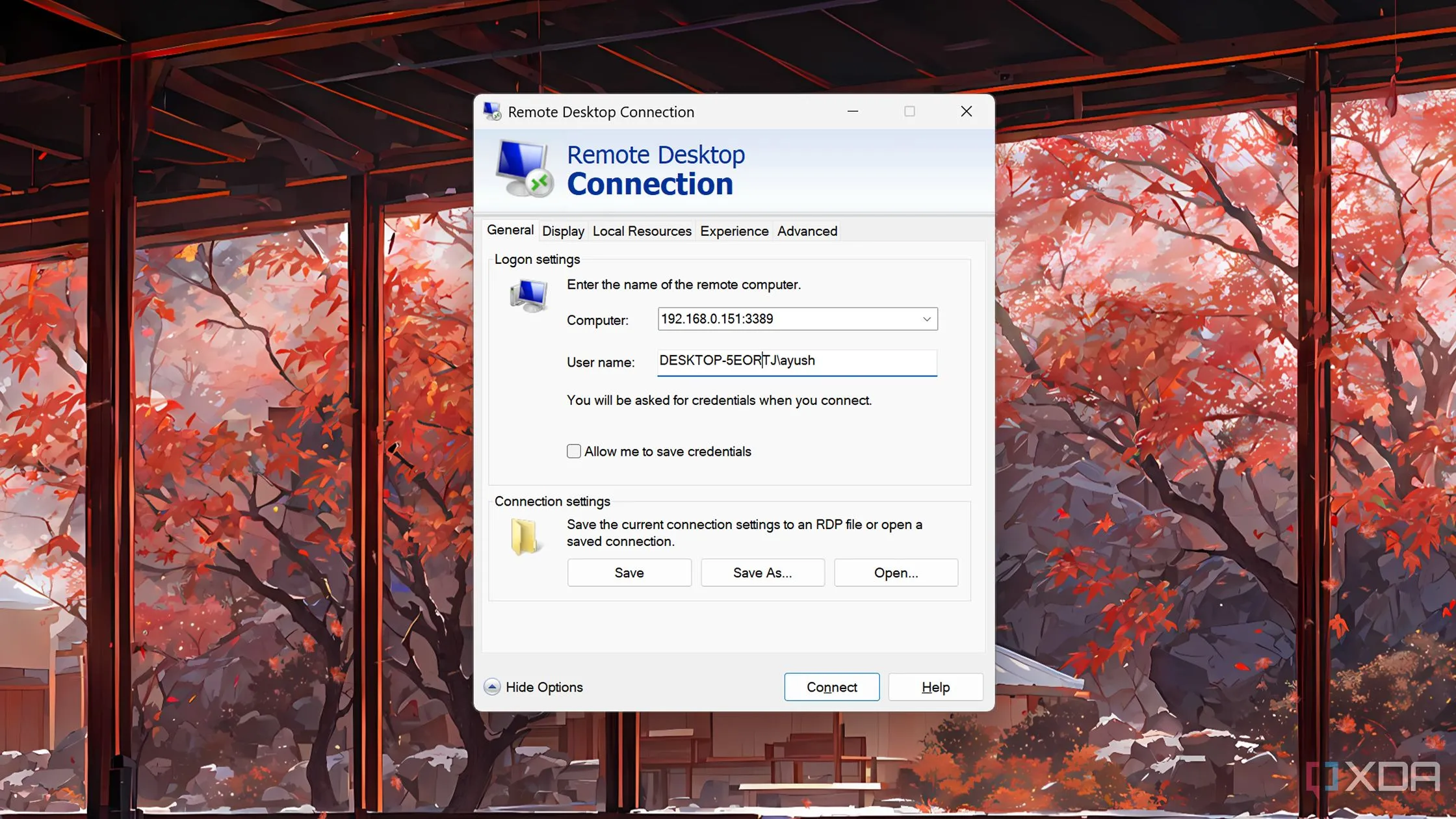 Giao diện truy cập máy ảo Windows 11 qua Remote Desktop Protocol (RDP) trên máy tính chính, thể hiện sự mượt mà và đầy đủ tính năng.