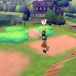 Huấn luyện viên chuẩn bị giao đấu Pokémon