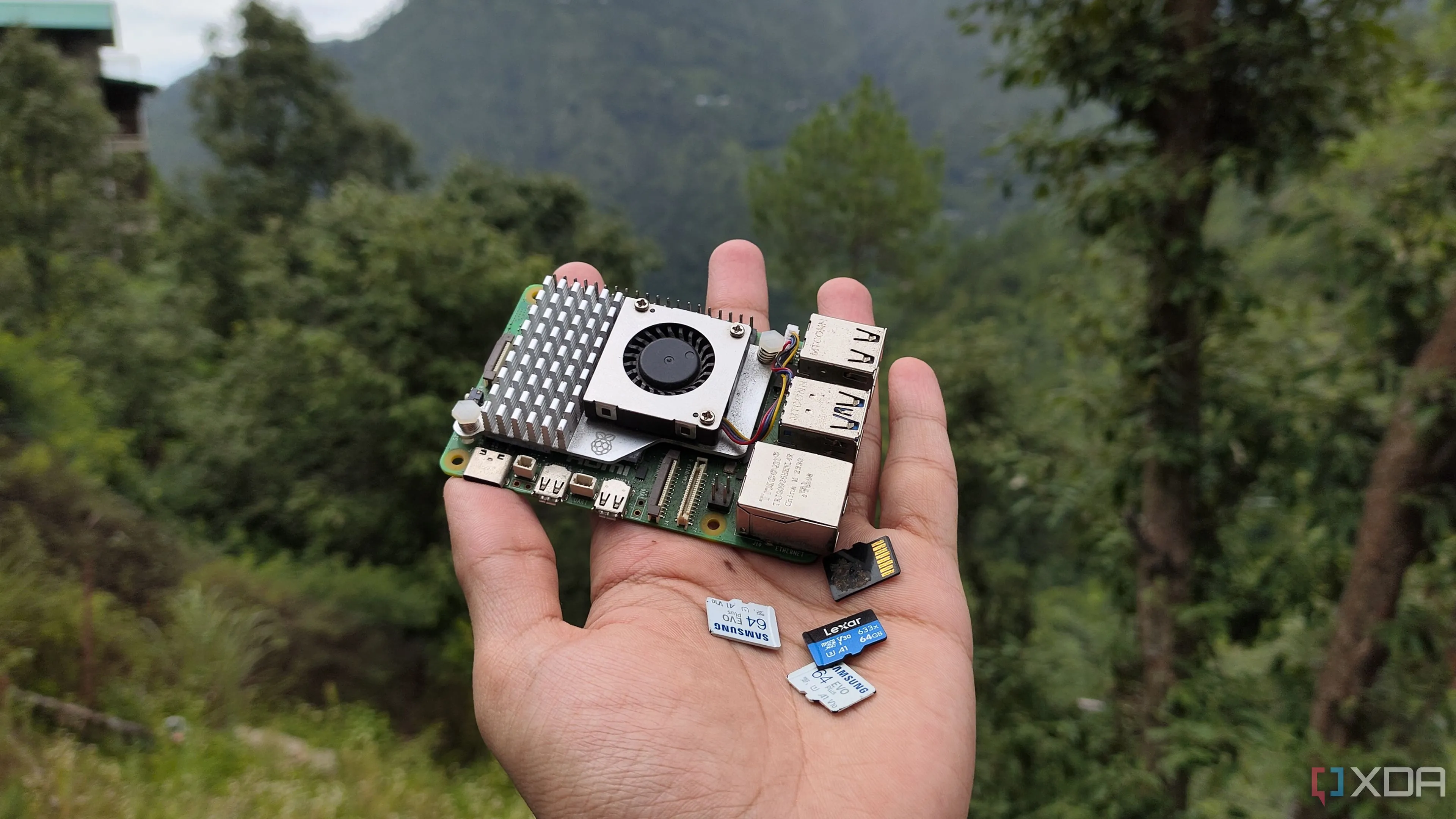 Một người cầm bo mạch Raspberry Pi và nhiều thẻ nhớ microSD, minh họa các lựa chọn phần cứng giá rẻ cho self-hosting