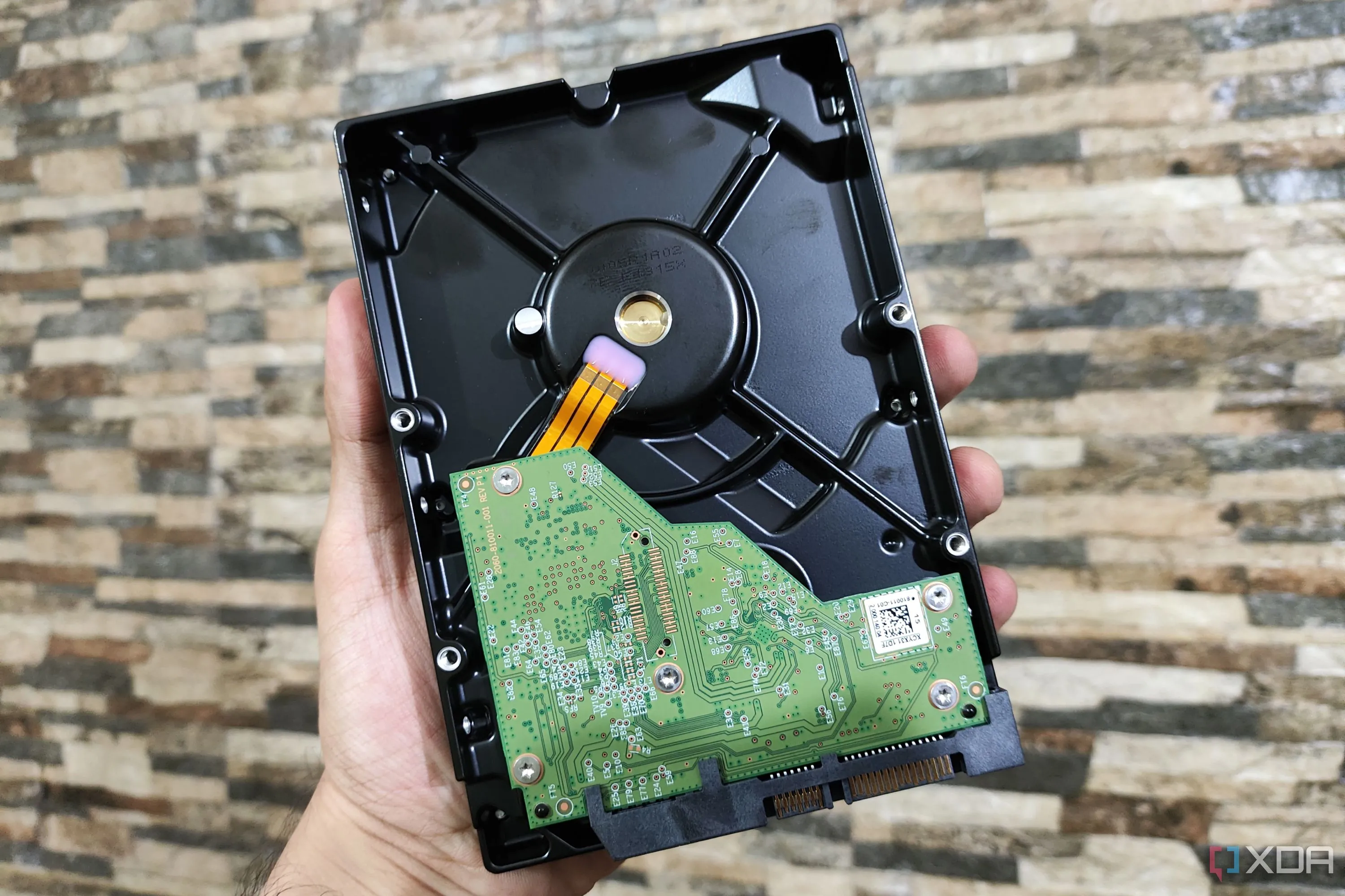 Người dùng cầm trên tay ổ cứng Western Digital WD Blue HDD 8TB