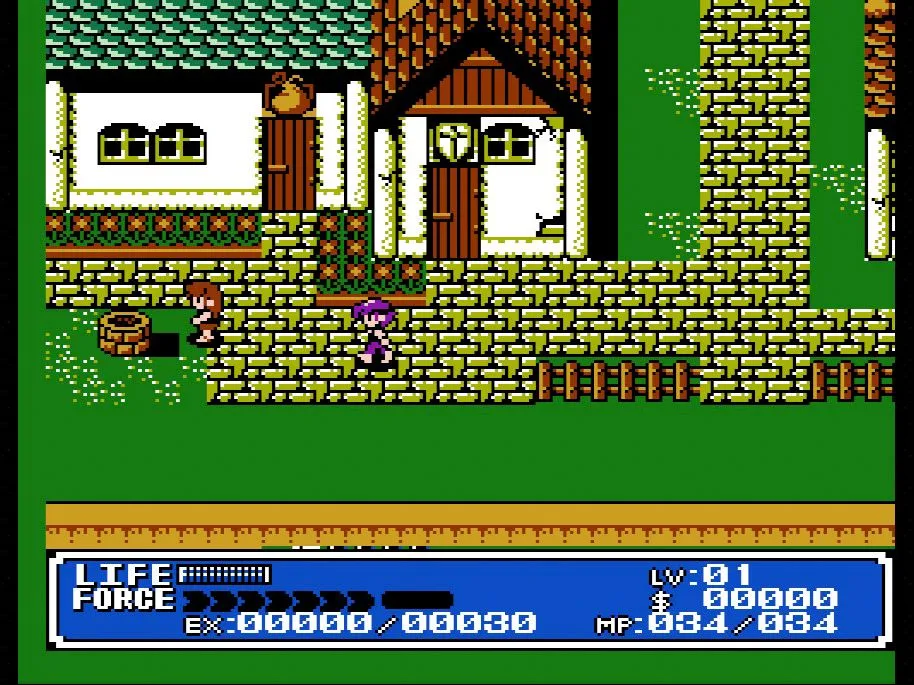 Nhân vật chính trong game nhập vai hành động Crystalis trên NES